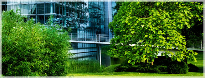 Business And Landscape