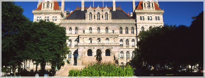 Government Administration